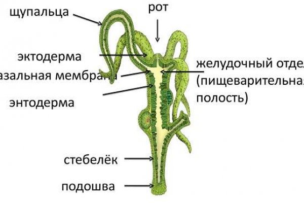 Свежие ссылки кракен