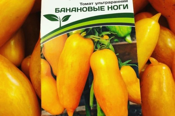 Kraken onion вход