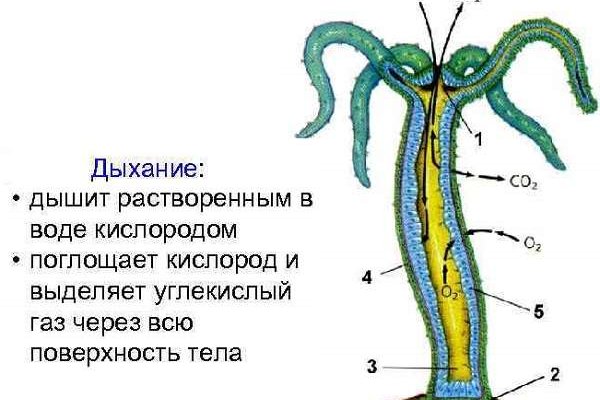 Кракен сайт официальный kraken014 com