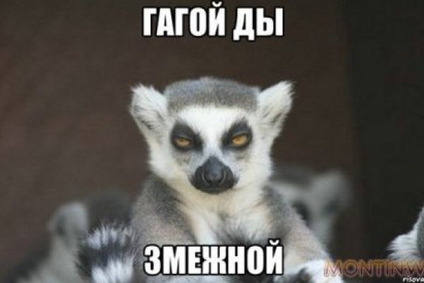 Кракен даркнет официальный